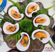 2025世界川菜烹饪技能大赛在四川乐山开赛